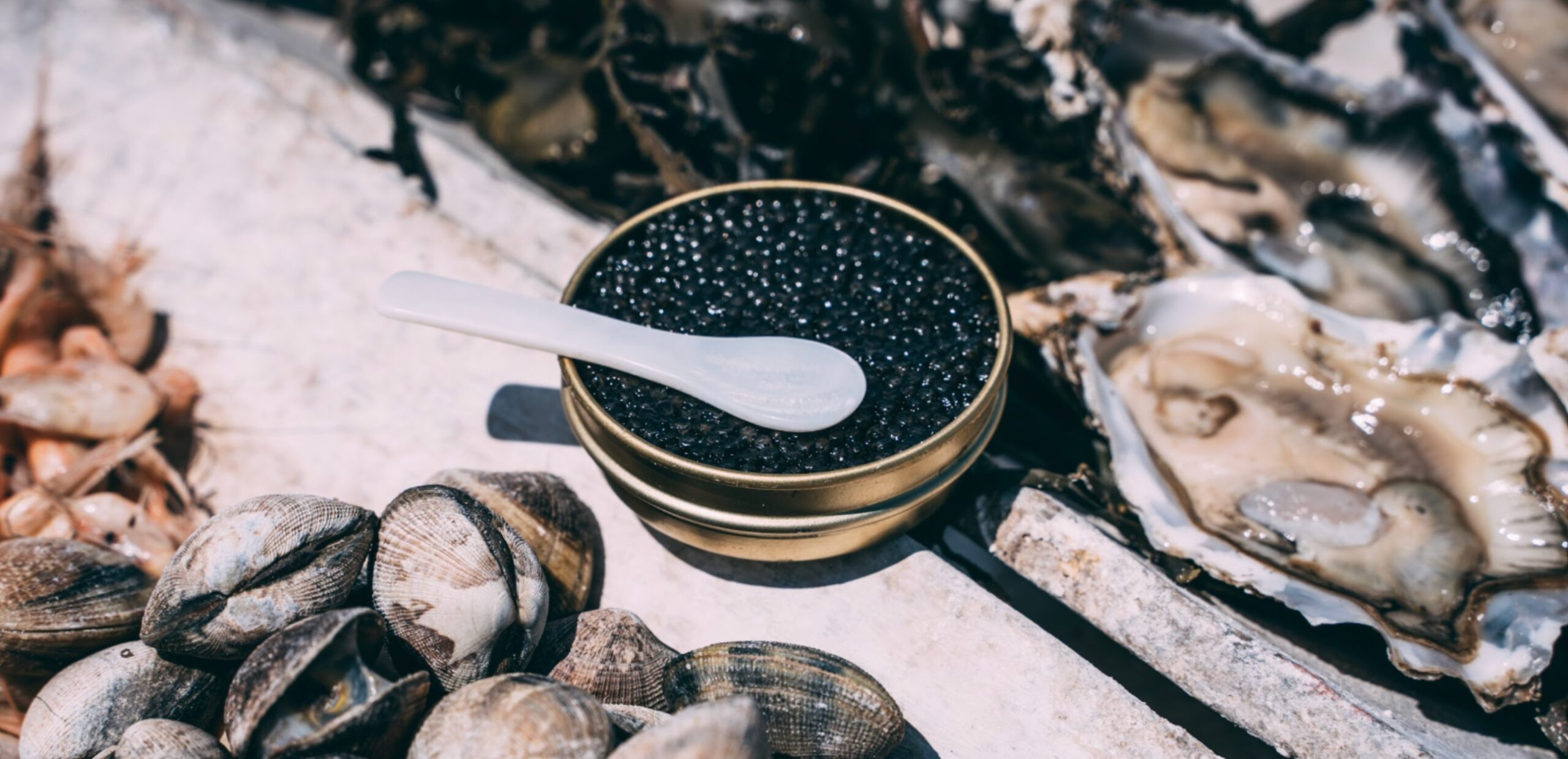 Caviar-Aquitaine-IGP-Avenir